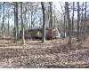 Click here to View Real Estate near 10826 beaver trail Newaygo, Mi 49309 homes near 10826 beaver trail Newaygo, Mi 49309