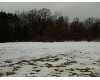 Click here to View Real Estate near 3667 east 7 mile road White Cloud, MI 49349 homes near 3667 east 7 mile road White Cloud, MI 49349