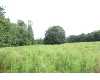 Click here to View Real Estate near lot 3 snow ridge Alto, MI 49302 homes near lot 3 snow ridge Alto, MI 49302