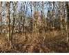 Click here to View Real Estate near 49 vale Battle Creek, MI 49014 homes near 49 vale Battle Creek, MI 49014