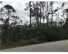 Click here to View Real Estate near 2nd Avenue se NAPLES, FL 34117 homes near 2nd Avenue se NAPLES, FL 34117