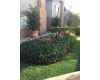 Click here to View Real Estate near 82 south oak Avenue Pasadena, CA 91107 homes near 82 south oak Avenue Pasadena, CA 91107