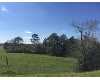 Click here to View Real Estate near 825 rentz bridge rd Lenox, GA 31637 homes near 825 rentz bridge rd Lenox, GA 31637