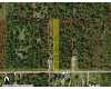 Click here to View Real Estate near 2991 18th Avenue NAPLES, FL 34120 homes near 2991 18th Avenue NAPLES, FL 34120