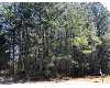 Click here to View Real Estate near 50 pinkney street Rock Hill, SC 29745 homes near 50 pinkney street Rock Hill, SC 29745