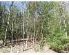 Click here to View Real Estate near 2237 mills Muskegon, MI 49445 homes near 2237 mills Muskegon, MI 49445