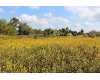 Click here to View Real Estate near 3030 wood duck lane Ada, MI 49301 homes near 3030 wood duck lane Ada, MI 49301