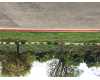 Click here to View Real Estate near 990 north amelia Avenue San Dimas, CA 91773 homes near 990 north amelia Avenue San Dimas, CA 91773