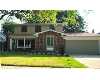 Click here to View Real Estate near 40989 westfield circle Canton, MI 48188 homes near 40989 westfield circle Canton, MI 48188