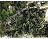 Click here to View Real Estate near 2797 1st st 406 FORT MYERS, FL 33916 homes near 2797 1st st 406 FORT MYERS, FL 33916