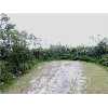 631 Loleta CT