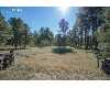 Click here to View Real Estate near 12295 oregon wagon trail Elbert, CO 80106 homes near 12295 oregon wagon trail Elbert, CO 80106