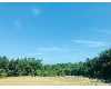 Click here to View Real Estate near 4033 lake shore lane Fallbrook, CA 92028 homes near 4033 lake shore lane Fallbrook, CA 92028