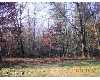 Click here to View Real Estate near 4251 west long lake road Orleans, MI 48865 homes near 4251 west long lake road Orleans, MI 48865