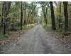 Click here to View Real Estate near 11310 south l lake bridge street Baldwin, MI 49304 homes near 11310 south l lake bridge street Baldwin, MI 49304