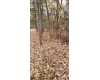 Click here to View Real Estate near n steelhead drive Irons, MI 49644 homes near n steelhead drive Irons, MI 49644