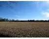 Click here to View Real Estate near 1835 honnoll mill road Caledonia, MS 39740 homes near 1835 honnoll mill road Caledonia, MS 39740