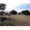 1303 County Road 313