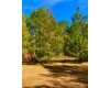 Click here to View Real Estate near 1608 east 24th Avenue nue Cordele, GA 31015 homes near 1608 east 24th Avenue nue Cordele, GA 31015
