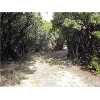1303 County Road 313