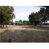 1303 County Road 313