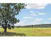 Click here to View Real Estate near 11035 orchards boulevard Cleburne, TX 76033 homes near 11035 orchards boulevard Cleburne, TX 76033