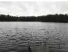 Click here to View Real Estate near n steelhead drive Irons, MI 49644 homes near n steelhead drive Irons, MI 49644