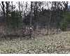 Click here to View Real Estate near 0 laverne road Wellston, MI 49689 homes near 0 laverne road Wellston, MI 49689