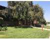 Click here to View Real Estate near 1125 fairview Avenue nue Arcadia, CA 91007 homes near 1125 fairview Avenue nue Arcadia, CA 91007