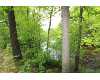 Click here to View Real Estate near 3667 east 7 mile road White Cloud, MI 49349 homes near 3667 east 7 mile road White Cloud, MI 49349