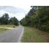 Jim Dill Road