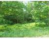Click here to View Real Estate near 1309 water pointe court Whitehall, MI 49461 homes near 1309 water pointe court Whitehall, MI 49461