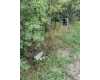 Click here to View Real Estate near 5050 burton rd Capac, MI 48014 homes near 5050 burton rd Capac, MI 48014
