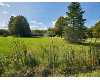 Click here to View Real Estate near 13156 morrish Montrose, MI 48457 homes near 13156 morrish Montrose, MI 48457