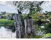 Click here to View Real Estate near 2614 44th ter sw NAPLES, FL 34116 homes near 2614 44th ter sw NAPLES, FL 34116