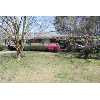 2817 Oakland Drive