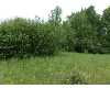 Click here to View Real Estate near 3523 bissonette road Glennie, MI 48737 homes near 3523 bissonette road Glennie, MI 48737