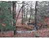 Click here to View Real Estate near 5248 heron cove Gladwin, Mi 48612 homes near 5248 heron cove Gladwin, Mi 48612