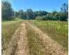 Click here to View Real Estate near 5918 113th Avenue parcel g Pullman, MI 49450 homes near 5918 113th Avenue parcel g Pullman, MI 49450