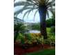 Click here to View Real Estate near 8805 lateen ln 102 FORT MYERS, FL 33919 homes near 8805 lateen ln 102 FORT MYERS, FL 33919