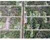 Click here to View Real Estate near 428 wilder Avenue LEHIGH ACRES, FL 33974 homes near 428 wilder Avenue LEHIGH ACRES, FL 33974