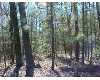 Click here to View Real Estate near 0 whitehall rd Muskegon, MI 49445 homes near 0 whitehall rd Muskegon, MI 49445