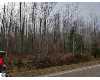 Click here to View Real Estate near 3876 hottis road Whittemore, MI 48770 homes near 3876 hottis road Whittemore, MI 48770
