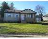 Mount Morris real estate