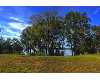 Click here to View Real Estate near 1401 dogwood place Cordele, GA 31015 homes near 1401 dogwood place Cordele, GA 31015