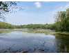 Click here to View Real Estate near 5168 north bass lake road Irons, MI 49644 homes near 5168 north bass lake road Irons, MI 49644