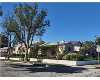 Click here to View Real Estate near 1826 garvey Avenue nue Alhambra, CA 91803 homes near 1826 garvey Avenue nue Alhambra, CA 91803