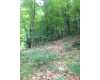 Click here to View Real Estate near 4407 west columbia Avenue - lease 2 Battle Creek, MI 49015 homes near 4407 west columbia Avenue - lease 2 Battle Creek, MI 49015