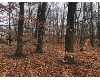 Click here to View Real Estate near 0 oak tree lane Whitehall, MI 49461 homes near 0 oak tree lane Whitehall, MI 49461