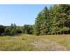 Boyne Falls real estate